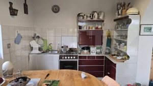 Casa 5 camere , 300 mp;  Teren - 2000 mp . Viile Satu Mare - imagine 7