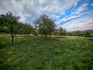 Teren extravilan de vânzare 