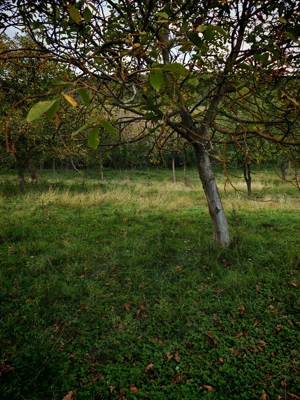 Teren extravilan de vânzare  - imagine 2