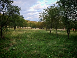 Teren extravilan de vânzare  - imagine 3