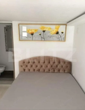 Apartament tip studio, 16,16 mp, strada piata Trandafirilor - imagine 5