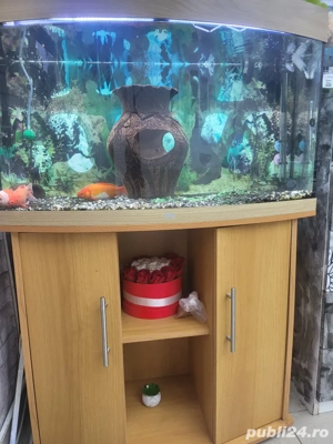 Vând acvariu juwel 180 + stand impecabil că nou acvariul vine cu pompa standard . - imagine 3 Vând acvariu juwel 180 + stand impecabil că nou acvariul vine cu pompa standard . - imagine 3