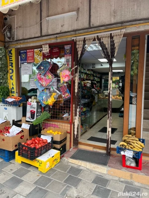 Magazin Mixt Agigea Centru