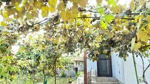 Casa 3 camere 92 mp, 338 mp de teren - imagine 10