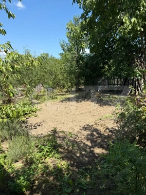 Casa cu teren 1000 m Drajna - imagine 19