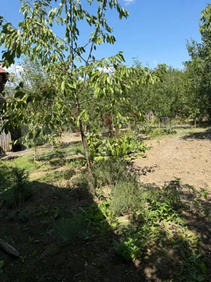 Casa cu teren 1000 m Drajna - imagine 17