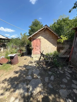 Casa cu teren 1000 m Drajna - imagine 15