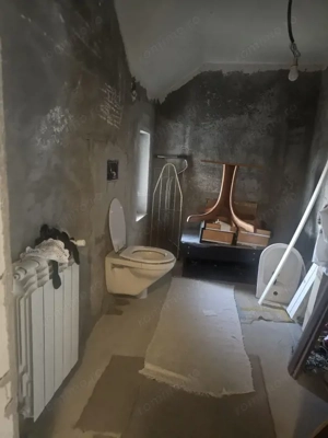 Casa S+P+1, 160mp utili, 1300 mp teren, COMISION 0 LA CUMPARATOR!!!, Malu Mare - imagine 16