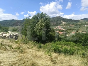 Cabana la rosu 150 mp cu teren de 3500 mp in Ampoita  - imagine 3