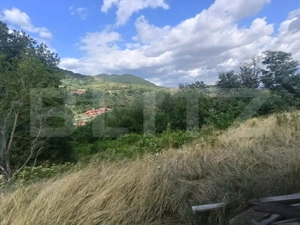 Cabana la rosu 150 mp cu teren de 3500 mp in Ampoita  - imagine 4