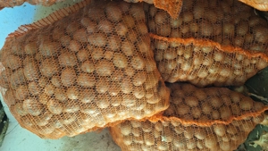 Cartofi pentru animale