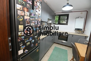 3 semidecomandate-Rovine! - imagine 13