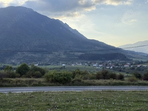 Teren intravilan 500 sau 1000 mp Bran-Tohanita la dum asfaltat - imagine 2