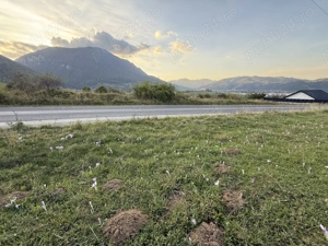 Teren intravilan 500 sau 1000 mp Bran-Tohanita la dum asfaltat - imagine 5