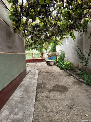 Casă de vânzare în centrul localității  Tamaseu (județul Bihor), aproape de Oradea! - imagine 2