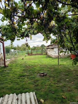 Casă de vânzare în centrul localității  Tamaseu (județul Bihor), aproape de Oradea! - imagine 3