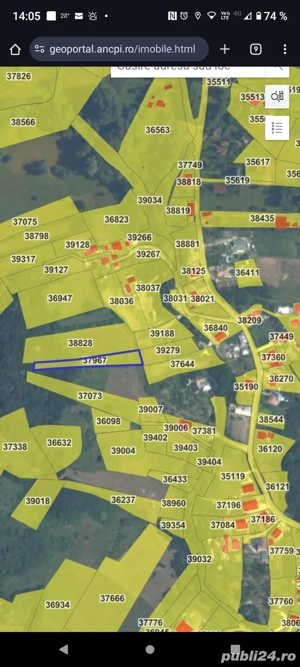 Vand teren intravilan Vladesti-Priporu VALCEA - imagine 3