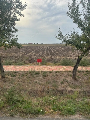 PROPRIETAR vând loc de casa 2528 str Scurta în Sannicolau Mare