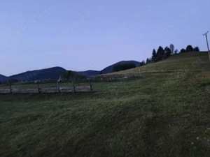 Teren vânzare colibita - imagine 2 Teren vânzare colibita - imagine 2