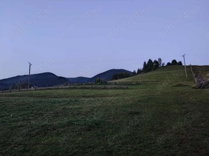 Teren vânzare colibita - imagine 4 Teren vânzare colibita - imagine 4