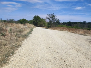 Vand teren 500mp -7000mp zona pădure lac Cornetu Ilfov