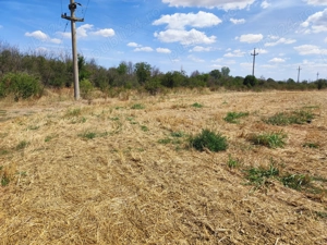 Vand teren 500mp -7000mp zona pădure lac Cornetu Ilfov - imagine 2