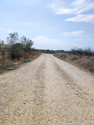 Vand teren 500mp -7000mp zona pădure lac Cornetu Ilfov - imagine 5
