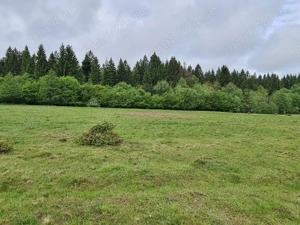 Vând teren in zona turistica Berivoi , jud Brașov!!!