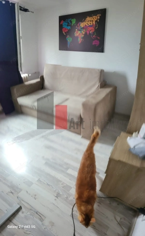 Apartament 3 camere decomandat Trapezului - imagine 7