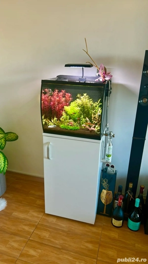Vand Acvariu complet accesorizat - imagine 3