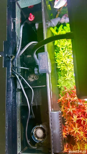 Vand Acvariu complet accesorizat - imagine 5