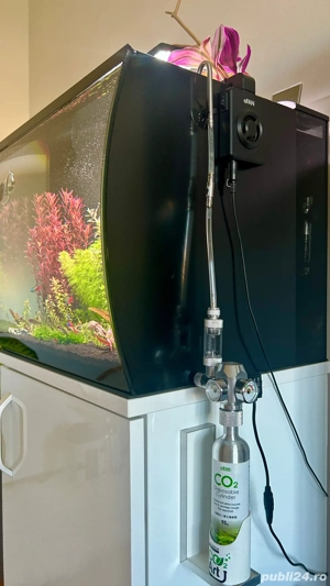 Vand Acvariu complet accesorizat - imagine 4