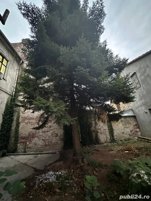 Spatiu pentru servicii medicale - imagine 8