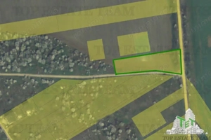 Teren Intravilan cu Urbanism , 3000mp, Branesti, Ilfov - imagine 3