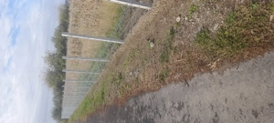 Caut loc de muncă ca și SUDOR