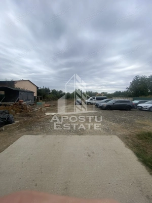 Casa în Dumbrăvița cu teren de 3039 mp și Front Stradal de 40 ml - imagine 11