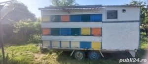 Vând pavilion apicol, 36 stupi.