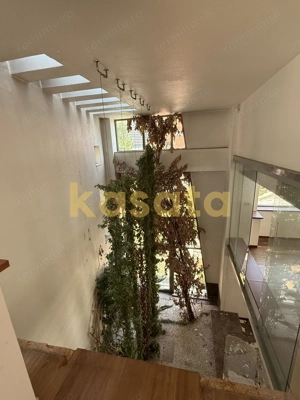 Vânzare teren 1484 mp Șoseaua Nordului  și vilă  renovabila - imagine 8