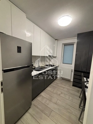 Apartament cu 2 camere decomandat mobilat si utilat in Giroc la asfalt - imagine 8