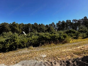 0% Comision- Teren cu constructie, langa padure-600 mp, Purcareni - imagine 5