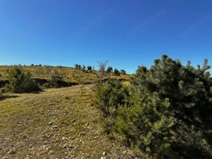 0% Comision- Teren cu constructie, langa padure-600 mp, Purcareni - imagine 9