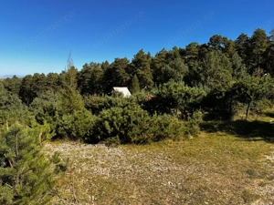 0% Comision- Teren cu constructie, langa padure-600 mp, Purcareni - imagine 12