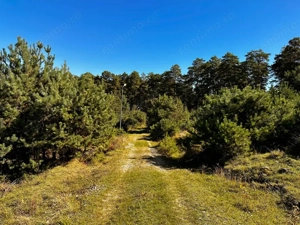 0% Comision- Teren cu constructie, langa padure-600 mp, Purcareni - imagine 4
