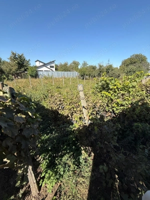 Casa spatioasa cu teren generos in tecuci - imagine 5