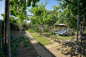 Casa Iosia Barcaului 6 camere - imagine 5