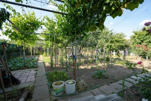 Casa Iosia Barcaului 6 camere - imagine 16