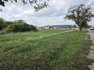 Teren 2024 mp - Calea Santandrei, Oradea - imagine 2