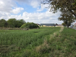 Teren 2024 mp - Calea Santandrei, Oradea - imagine 3