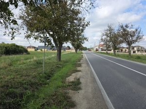 Teren 2024 mp - Calea Santandrei, Oradea - imagine 5