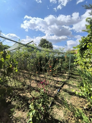 Vând casă în Ciorani! - imagine 8